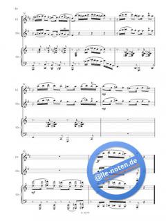 The Balkan Chick Fight von Lana Janjanin 