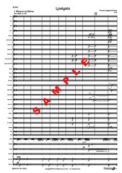 Ljodgata (Torstein Aagaard-Nilsen) 