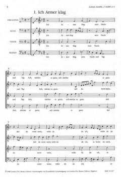 2 Lieder von Laurens Lemlin 