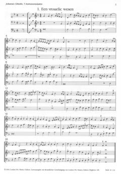 5 Instrumentalsätze 