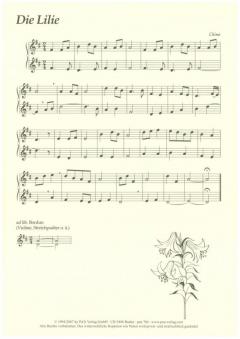 Kirschblüten (Christa Roelcke) 