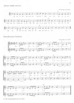 Musique polonaise du Moyen-Age 