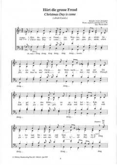 Ein Stern in Davids Land 