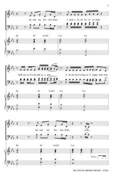 Me And My Broken Heart 