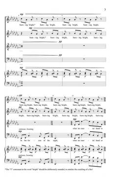 The Tyger (Andrew Miller) 