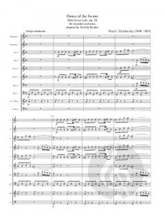Dance of the Swans (Pjotr Iljitsch Tschaikowski) 