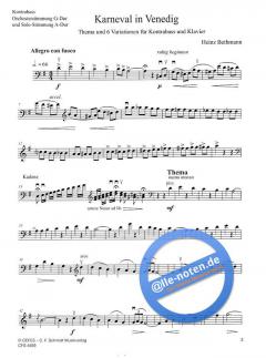 Karneval in Venedig von Heinz Bethmann 