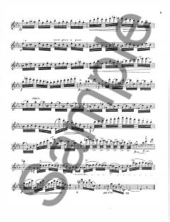 24 Caprices for Solo Flute von Niccolò Paganini 