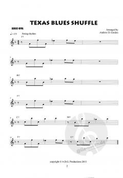 The Blues Play-A-Long And Solos Collection von Andrew D. Gordon 