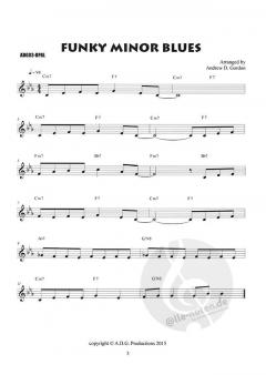 The Blues Play-A-Long And Solos Collection von Andrew D. Gordon 