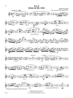 The Flute in the Attic von John Walker 