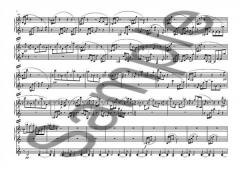 Double Take von Kevin Volans 