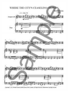 Where the City's Ceaseless Crowds von Michael Nyman 