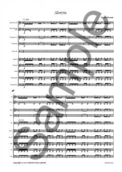 Aheym For Chamber Orchestra von Bryce Dessner 