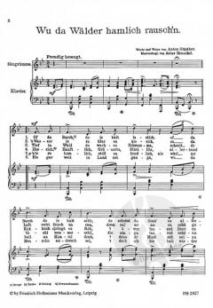 Wu da Wälder von Anton Guenther 