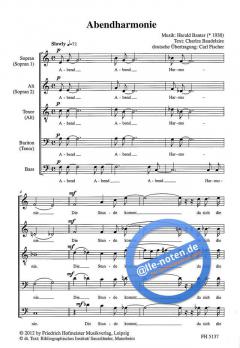 Abendharmonie (Harald Banter) 