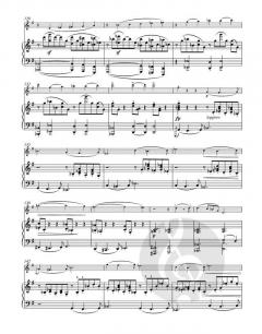 Sonate für Violine und Klavier G-Dur op. 78 von Johannes Brahms im Alle Noten Shop kaufen