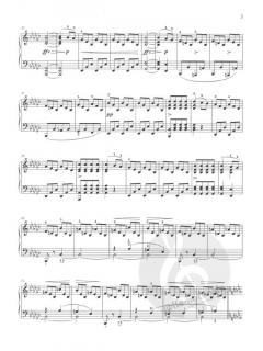 Drei Klavierstücke & Zwei Fragmente von Franz Schubert im Alle Noten Shop kaufen