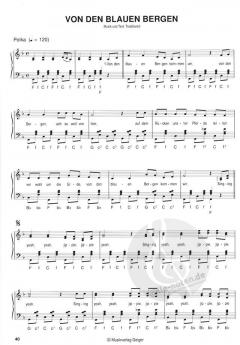 Wirtshausmusik für Akkordeon 10 im Alle Noten Shop kaufen