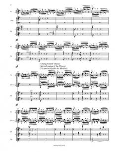 Die Moldau (Vltava) von Bedrich Smetana 