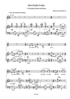 Goethe Lieder von Markus Schmitt 