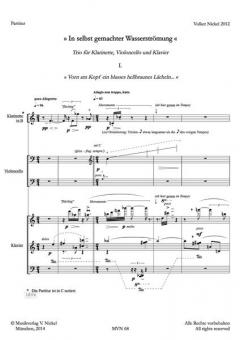 In selbstgemachter Wasserströmung (Volker Nickel) 