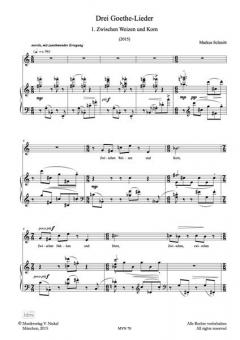 Goethe Lieder von Markus Schmitt 