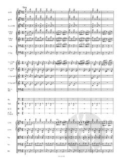 Tritsch-Tratsch op. 214 I 13/5 von Johann Strauss (Sohn) 