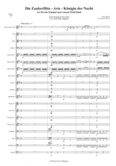 Die Zauberflöte: Arie der Königin der Nacht (W.A. Mozart) 