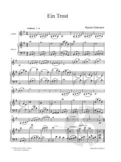 Der Rotfuchs von Ramin Entezami 