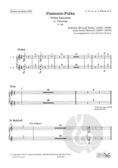Pizzicato-Polka o. Op. von Johann Strauss (Sohn) 
