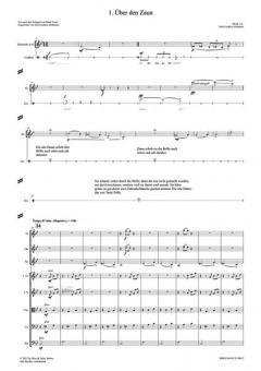 Tom Sawyer (Niels Frederic Hoffmann) 