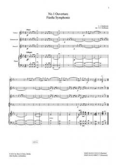 Donnerwetter! Herr Beethoven (Niels Frederic Hoffmann) 