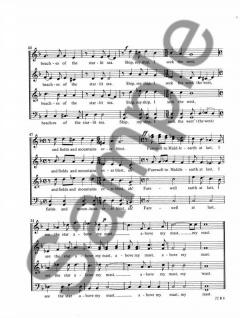 Bilbo's Last Song von Christian Alvad 