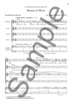 The Novello Book Of British Folksongs 