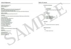 Rockschool: Popular Music Theory Workbook (Grade 4) 