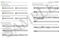 Rockschool: Popular Music Theory Workbook (Grade 6) 