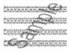 Fast Cycles von Nico Muhly 