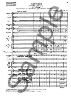 Schneefried Op. 29 von Jean Sibelius 