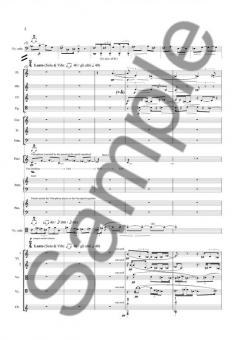 Momentum - Cello Concerto No. 2 von Per Norgard 