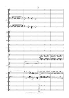 Symphony No.6 'Sinfonia Semplice' von Carl Nielsen 