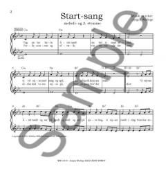 Hele aret Rundt von Jorgen Wedege 