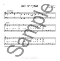 Hele aret Rundt von Jorgen Wedege 