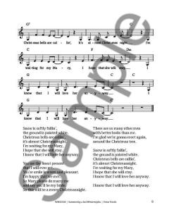 Summerdays and Winternights von Peter Vesth 