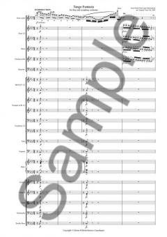 Tango Fantasia Arr. for Flute and Symphony Orchestra von Jacob Gade im Alle Noten Shop kaufen (Partitur)