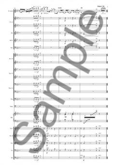 Tango Fantasia Arr. for Flute and Symphony Orchestra von Jacob Gade im Alle Noten Shop kaufen (Partitur)