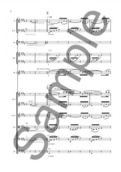 Robert Schumann's Dichterliebe 