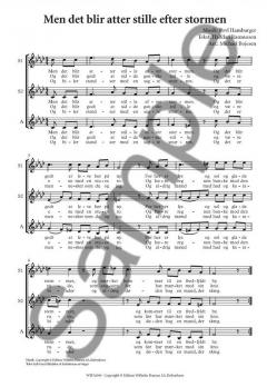 Men Det Blir Atter Stille Efter Stormen (Povl Hamburger) 