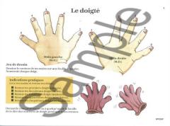 Piano Pour Les Tout-Petits - Preparatoire A von James Bastien 