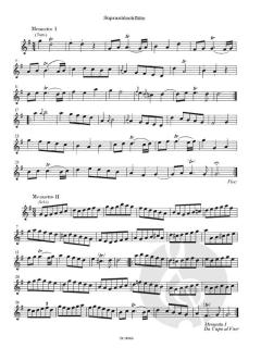 Concerto Nr. 2 G-Dur (Robert Woodcock) 